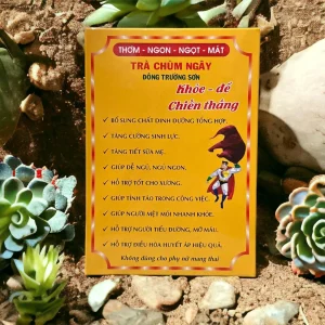 Trà Chùm Ngây Đông Trường Sơn - Hộp 200g