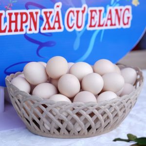 Trứng gà ta