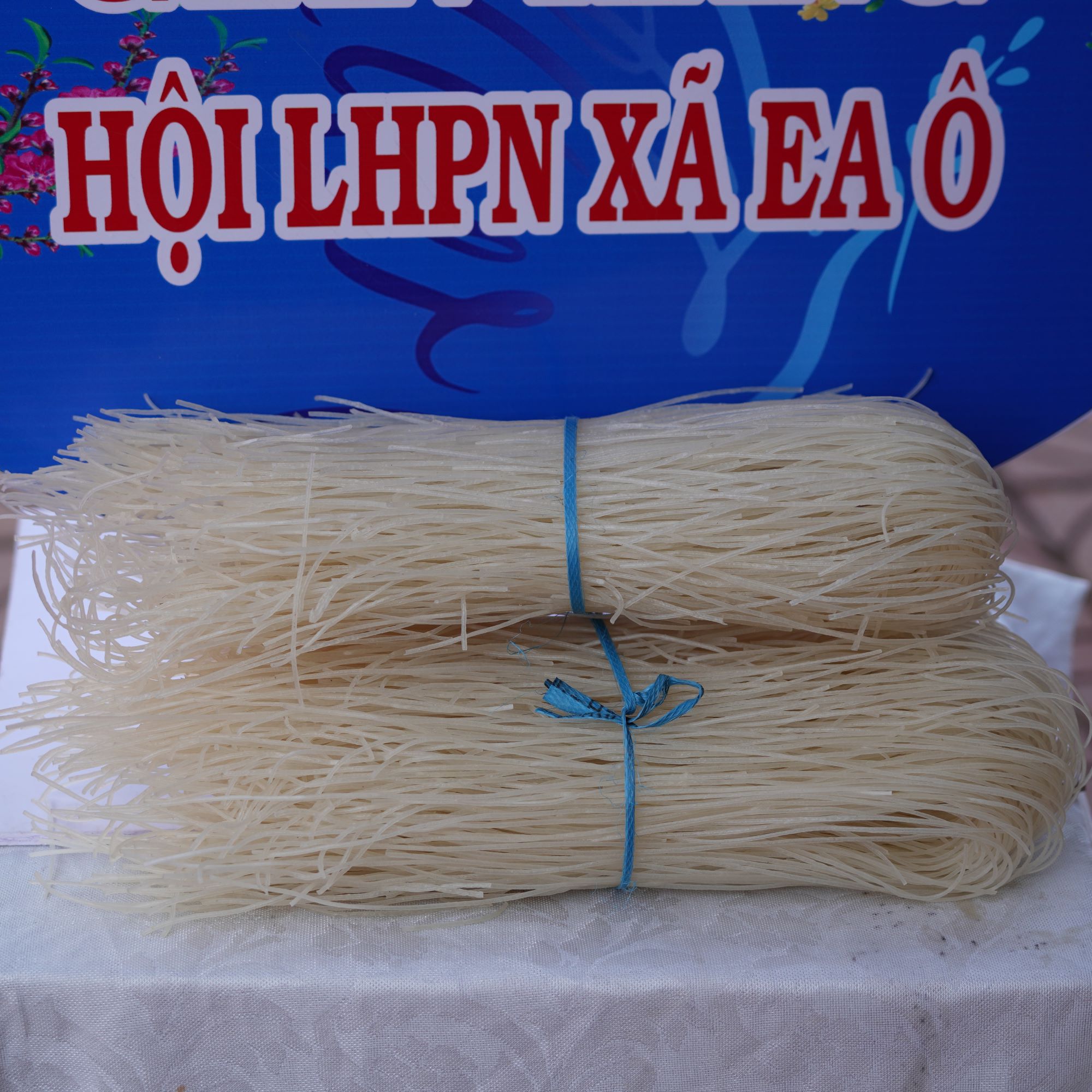 PCA04420 (2)