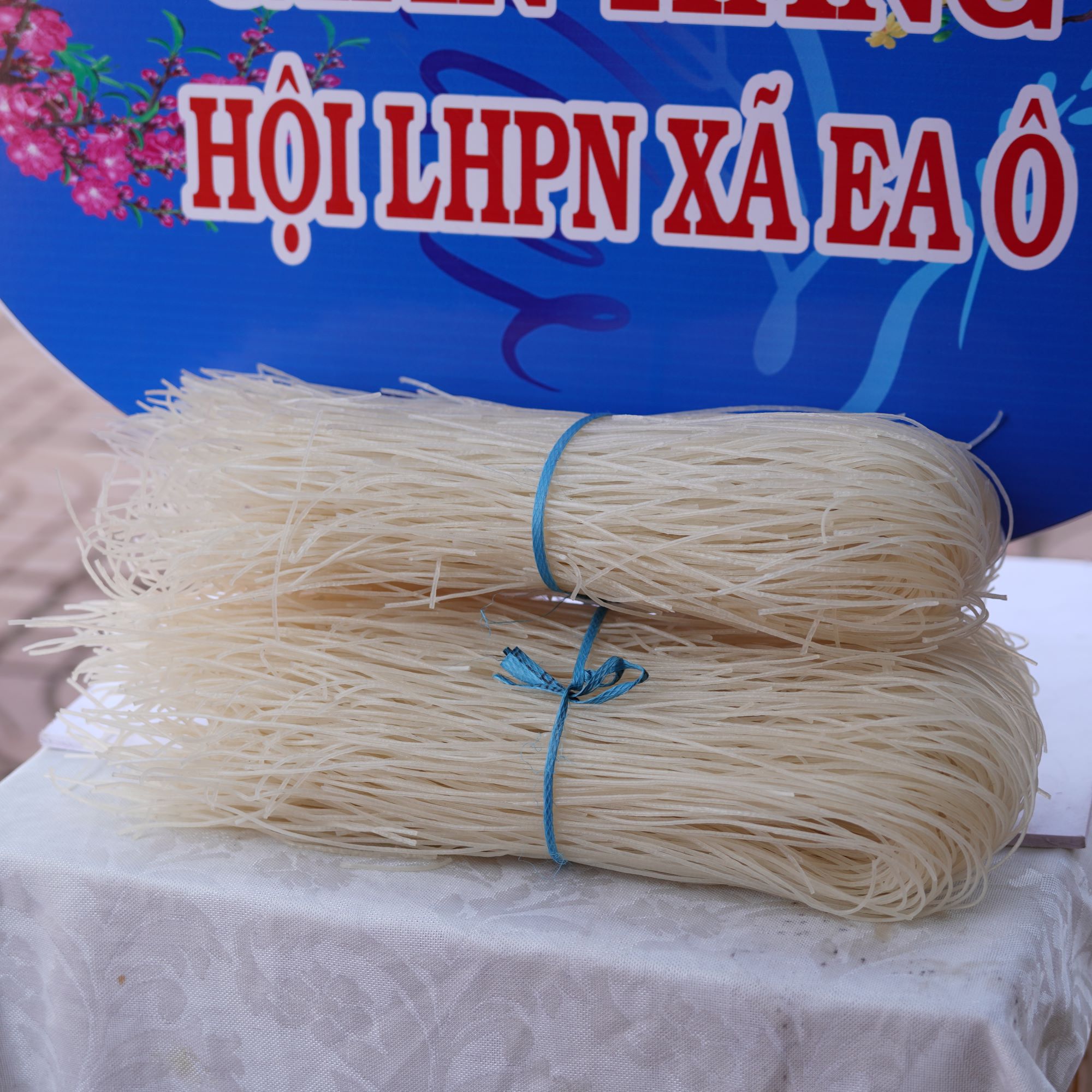 PCA04421 (2)
