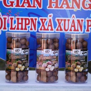 Macca hạt sấy cao cấp
